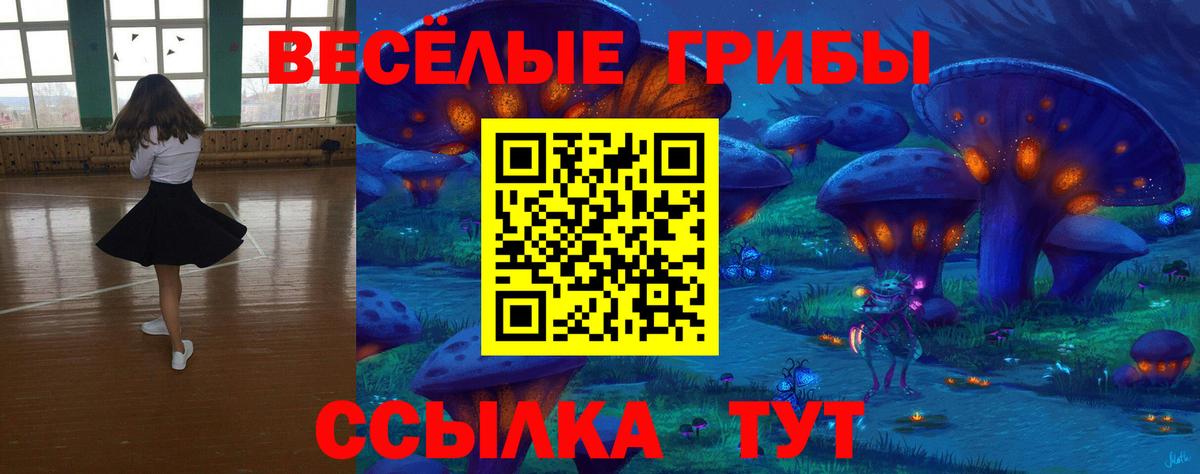 Моздок  Галлюциногенные грибы Magic Shrooms  Псилоцибиновые грибы Psilocybine cubensis  Вход с VPN 